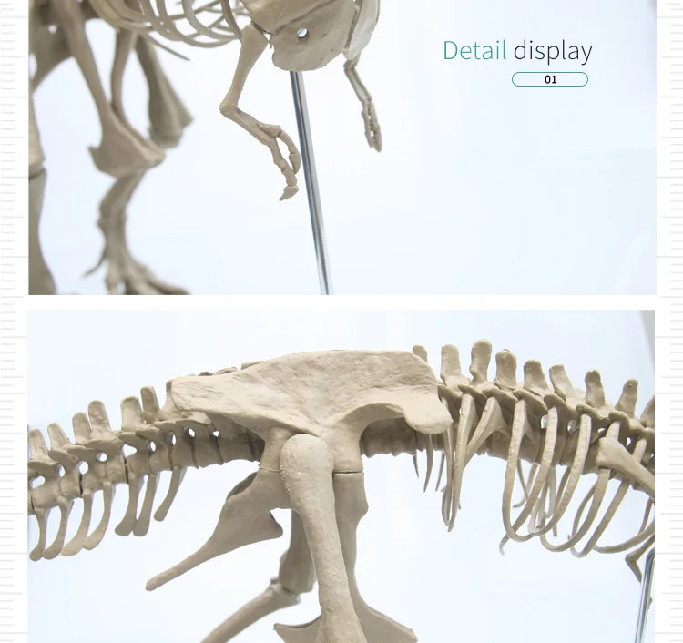 Моделирование 4D собранная модель большой тираннозавр рекс Fossil животная модель Diy обучающие игрушки для детей динозавр модель