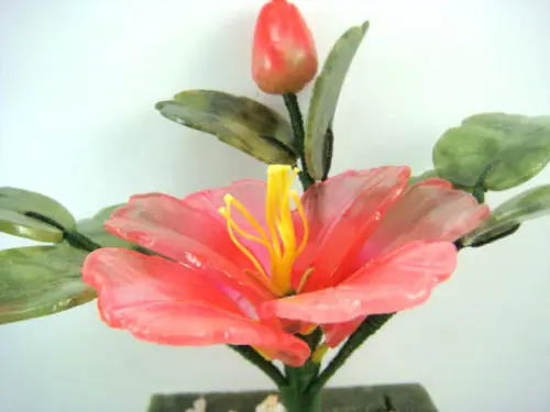 Пион фэн шуй цветок растение для любви богатства|flower hairclip|flowering plants deliveredplant dracaena |