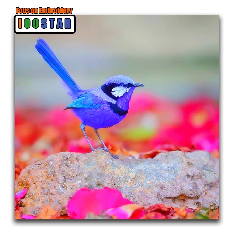 Full Square Diamond painting Blue bird DIY 3D mosaic Kingfisher Round embroidery Cross stitch animal | Дом и сад