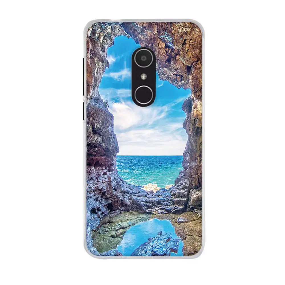 Чехол для Alcatel 1X 5059D 5059X 2018 чехол из мягкого ТПУ задней панели телефона 1 X 5059d с