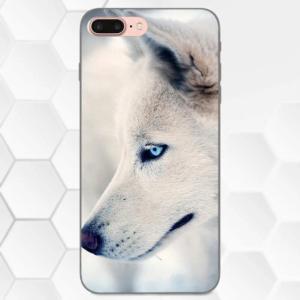 Чехол Wolf Blue Eyes для Apple iPhone 4 4S 5 5S SE 6 6S 7 8 Plus X XS Max XR мягкий чехол из ТПУ с