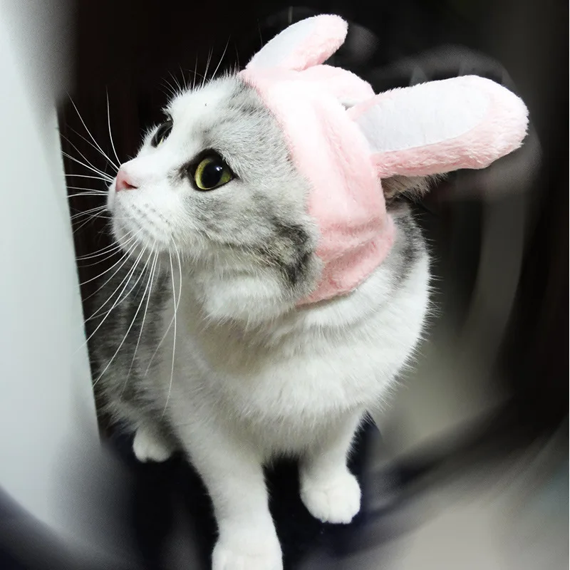 Забавный костюм для кошек милая шапка с мультяшным щенком заячьими ушками парик