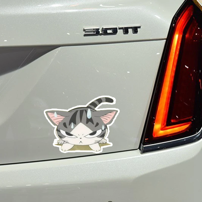 

YJZT 13.7*13CM Furious Cat PVC Car Sticker Decoration Graphic Decals C1-4149