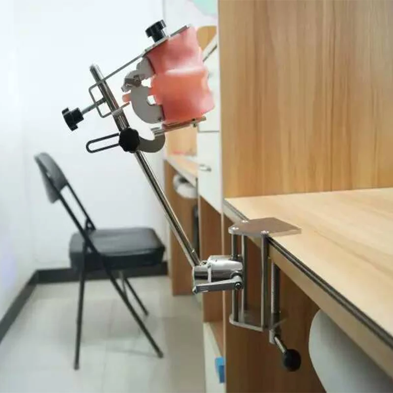 

Dental phantom head model with new style bench mount for dentist education Dental School simulator Nissin manikin phantom head