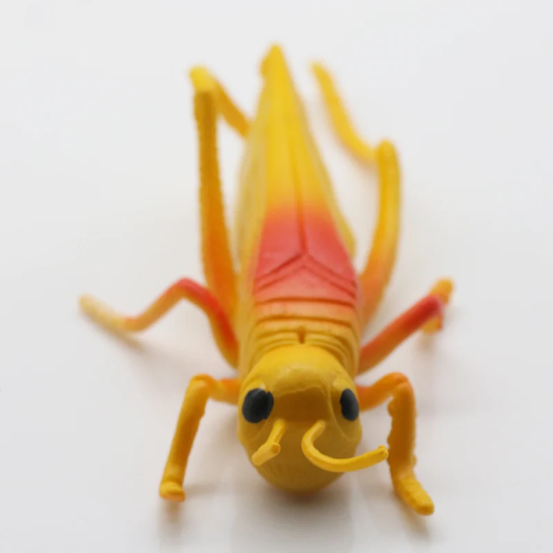 Poetryyi Saltamontes moscas de pesca a mosca coscas cebos carpa trucha volar atar material con mosca30|Наживки для рыбной ловли|