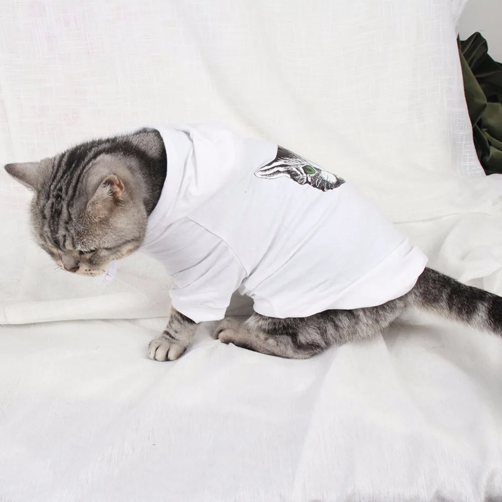 PipiFren Малый одежда для кошек домашних животных кофта с капюшоном котенком костюм
