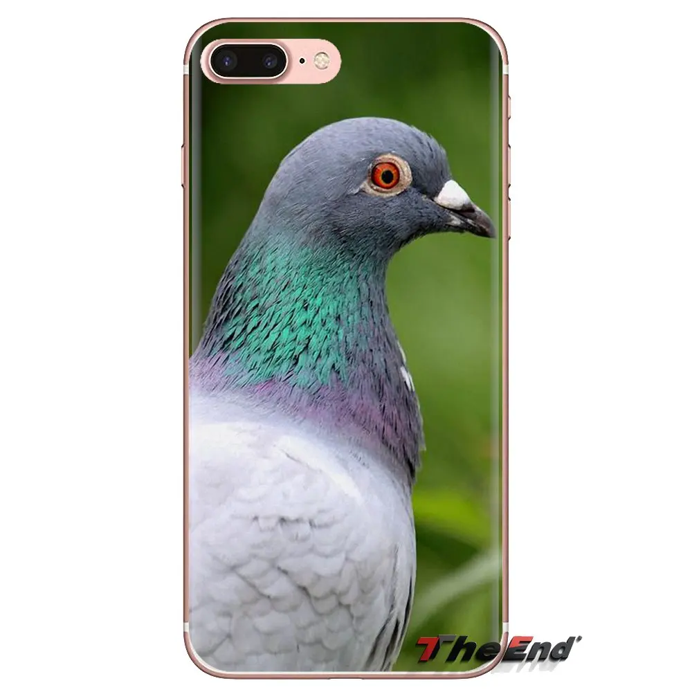 For Xiaomi Redmi 4A S2 Note 3 3S 4 4X 5 Plus 6 7 6A Pro Pocophone F1 Silicone Phone Skin Cover Pastel Pigeon Free beautiful bird |