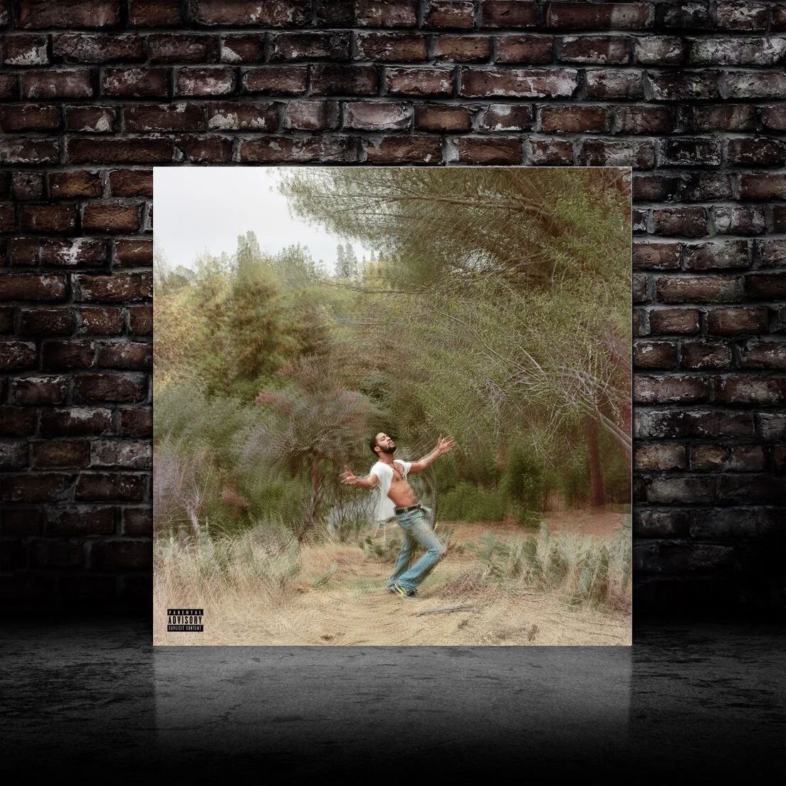 Детский альбом cudi speedin bullet to heaven музыка в стиле хип хоп рок настенные картины для