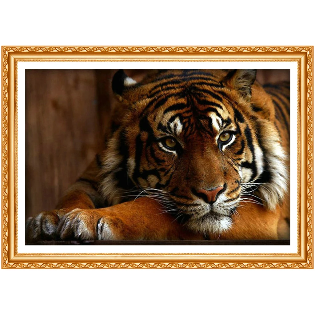 Алмазная картина сделай сам животные тигр квадратные стразы вышивка крестиком