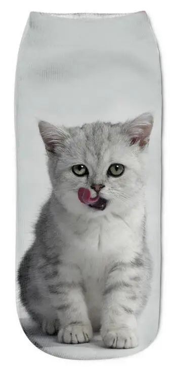 Модные Милые 3D короткие носки женские Харадзюку с принтом Kawaii Animal теплые