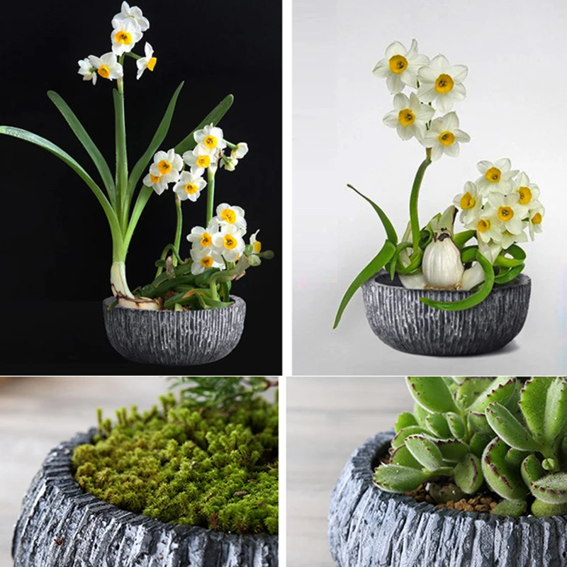 T4U керамический цементный цветочный горшок для суккулентов растений кактус