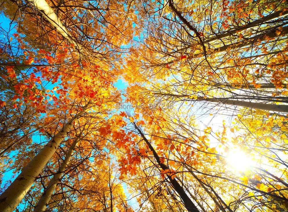 Искусственное кленовое дерево в небе аналогичное украшение как пластиковая