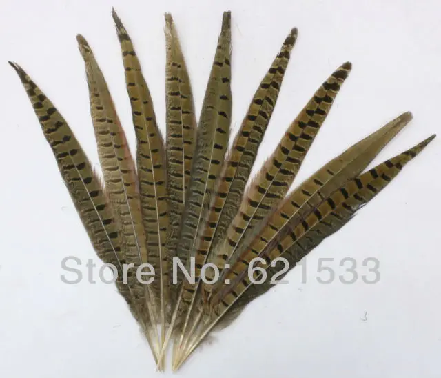 

50Pcs/lot 10-12"25-30cm Perfect Ringneck Pheasant Tail Feathers for Crafting Projects, Floral Decoration Or Home Decoration,