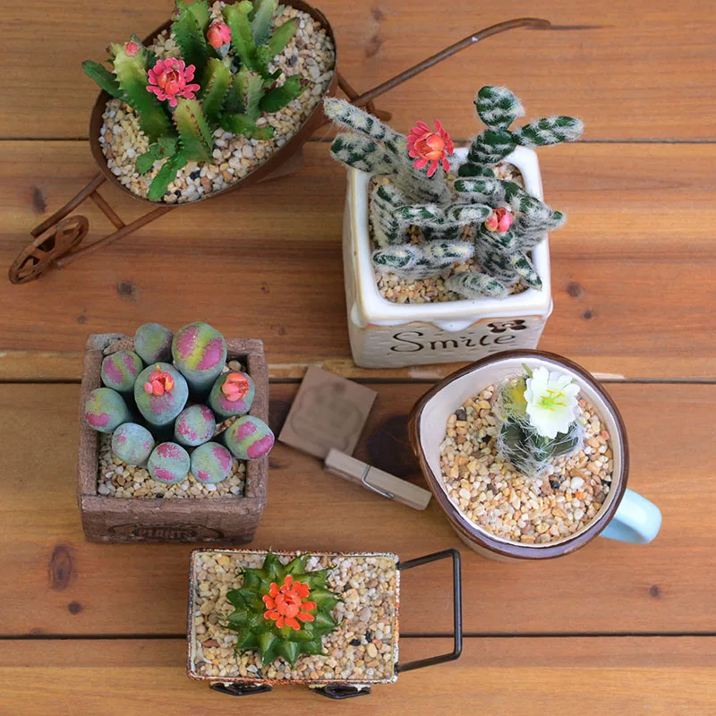 12 шт. литопс суккуленты растения DIY аксессуары Искусственные цветы Свадебный Декор для дома Рождественское украшение ремесло