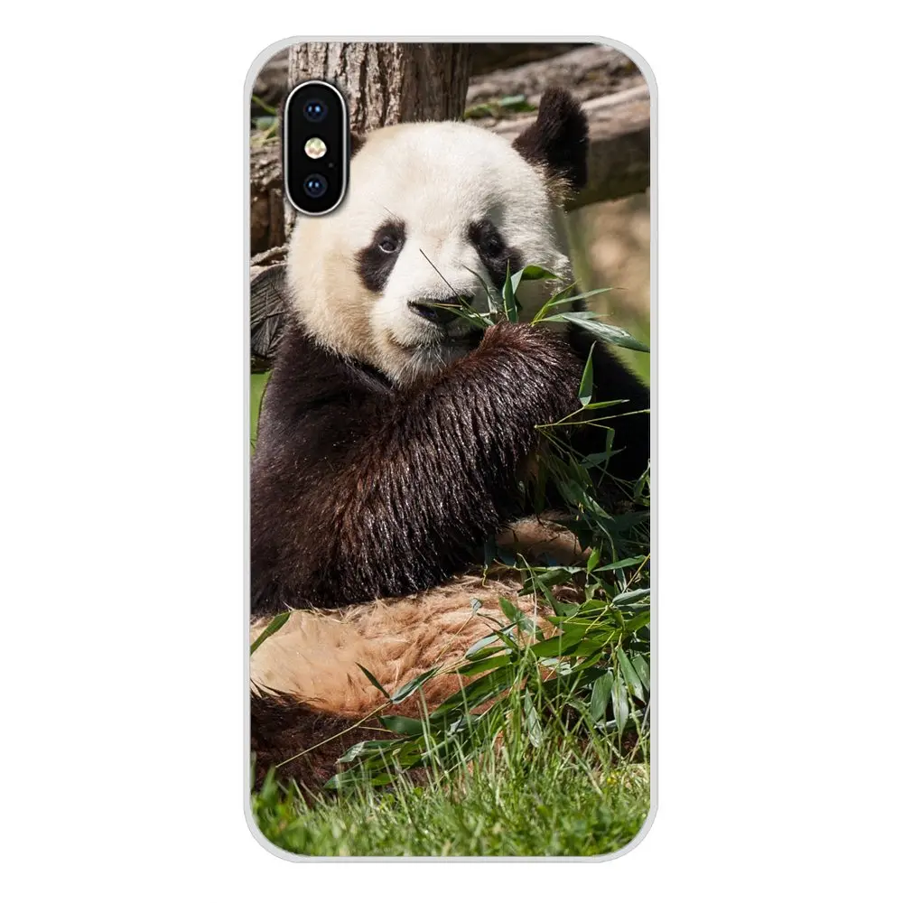 Чехлы для мобильных телефонов Samsung Galaxy S3 S4 S5 Mini S6 S7 Edge S8 S9 S10 Lite Plus Note 4 5 8 9 Animal Plant Panda