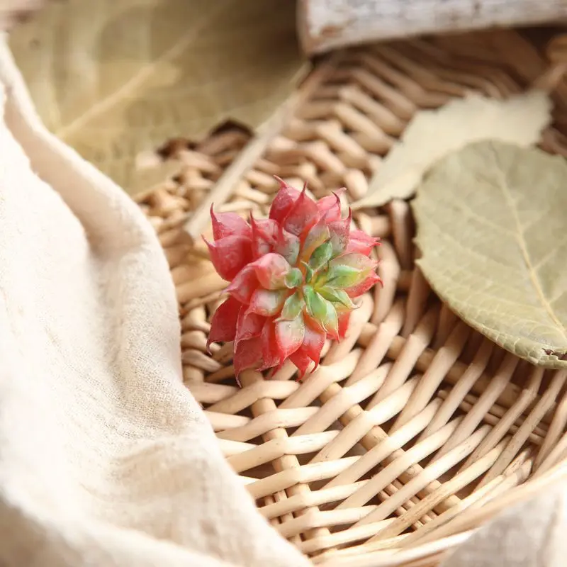 Succulents 2 Искусственные суккуленты растения с цветочным горшком пластиковые поддельные растения настольные бонсай для пейзажа офис украшения сада Офис - Цвет: Succulents 2