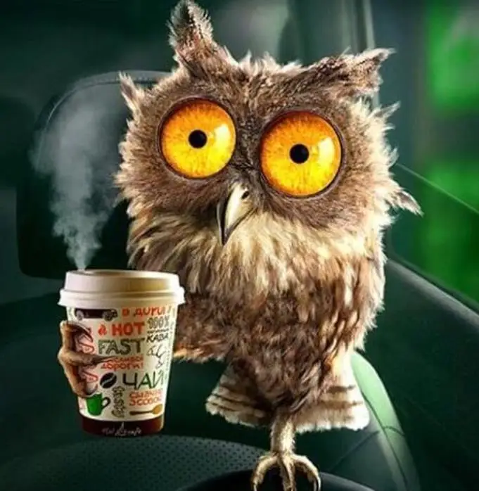 

5D DIY full Square drill diamond owl drink tea Cross stitch Rhinestones Diamond embroidery Mosaic home decor gift