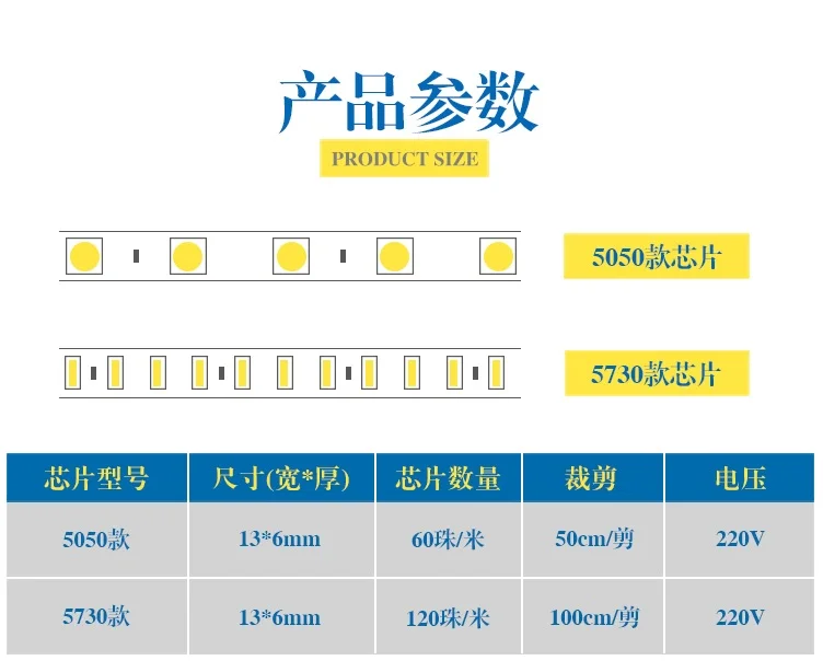 1000m Pack, Outdoor 220V LED Flexible Neon Stripe of Ocean Blue with 5730 Beads / 100m per Spool / 3 Years Warranty