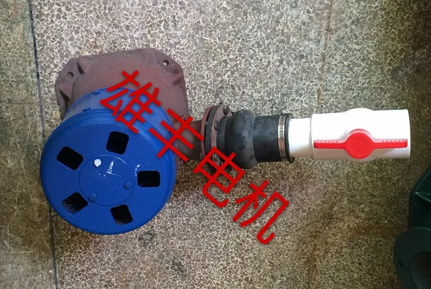 600 Вт полный медный однофазный постоянный магнит Наклонный гидроэлектрический