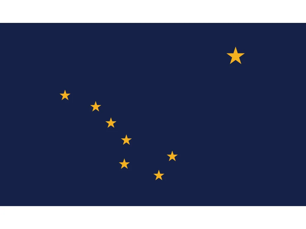 3x5 FT USA State of Alaska Flag 90*150cm 60*90cm America For Celebratio Decoration Дом и сад