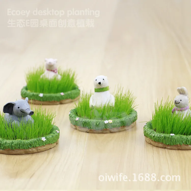 Прямое производство Mr. E возможность культивирования в качестве украшения для