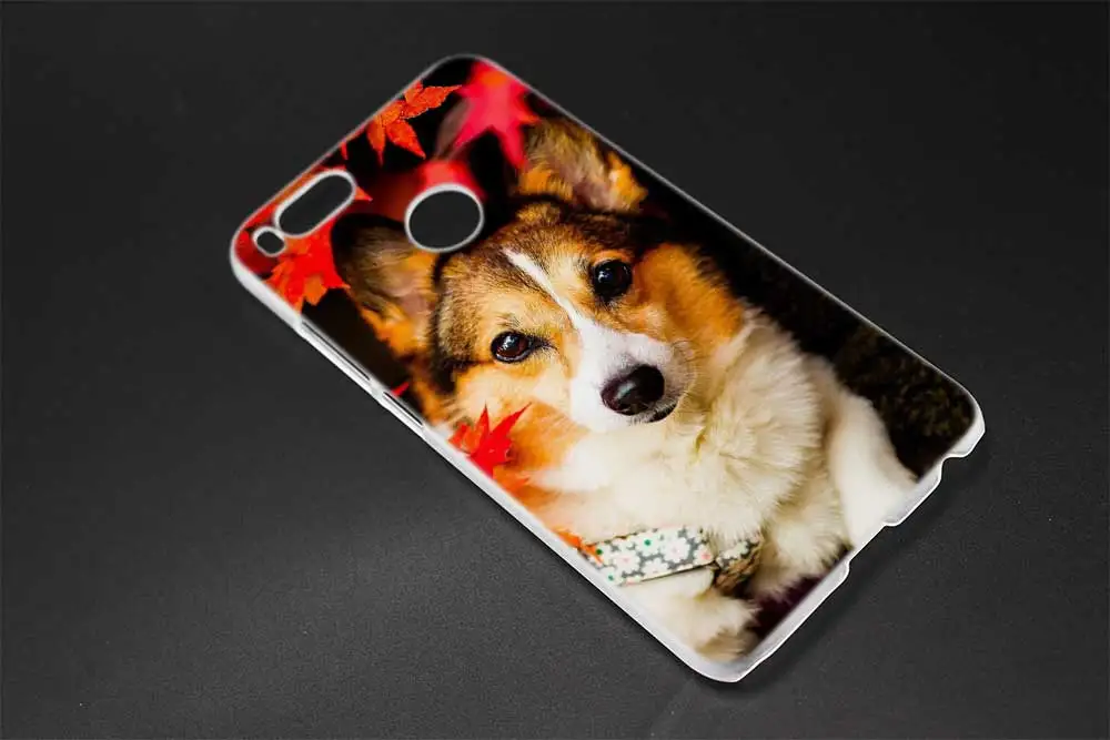 Милый мягкий силиконовый чехол Corgi dog для Xiaomi redmi 9a 8a 7a 6a 5a note 9 8 7 6 Pro 8t 9s y3 | Мобильные
