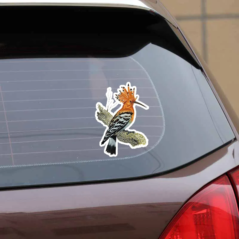 YJZT 12 3 см * 16 6 Hoopoe желто коричневая декоративная наклейка на окно из ПВХ 11