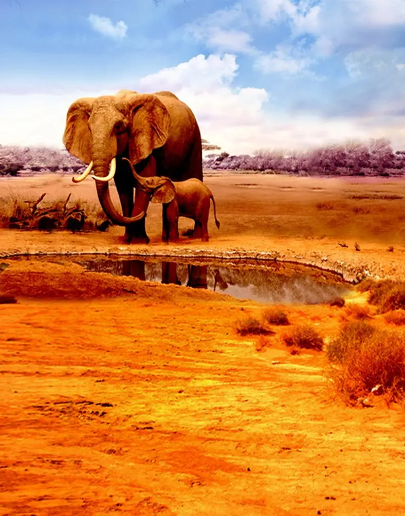 

Animal Elephant Photography Backdrops Photo Props Studio Background 5x7ft