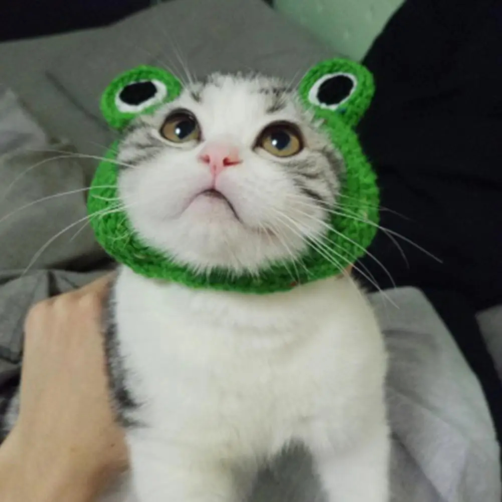 DIY Pet Cat Dog Creative Frog Design Hat Warm Knitted Gift for Pets | Accessories