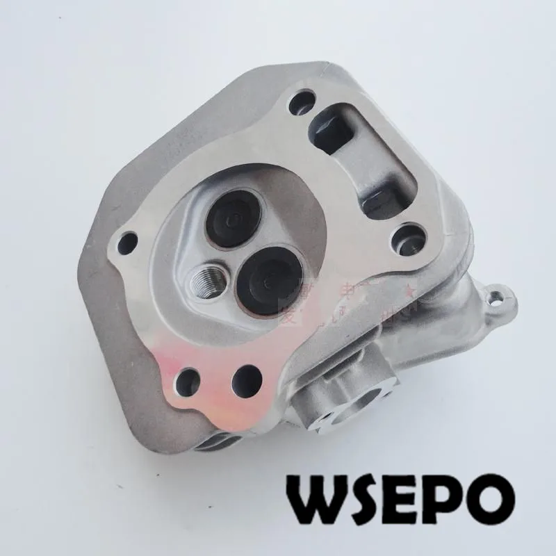 Высокое качество! Головка цилиндра в сборе с клапанами/рокеры/пружины для MZ175/166F 04