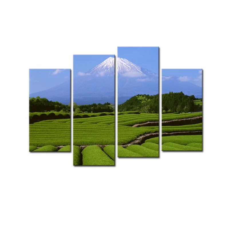 Японское крепление Fuji Canvas печать на холсте фотопечать современный пейзаж