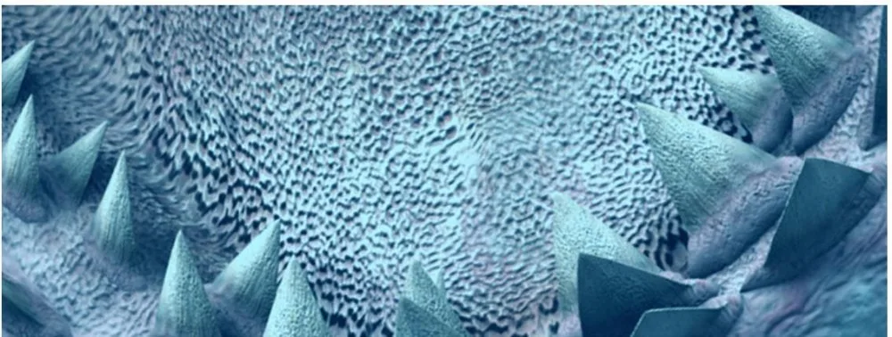 3d обои на потолок морской акулы Дельфина 3D стерео тема Космический фон |