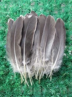 200pcslot10 18cm beautiful goose feathers stiff feathers craft feathers smokey brownsmokey greycolour