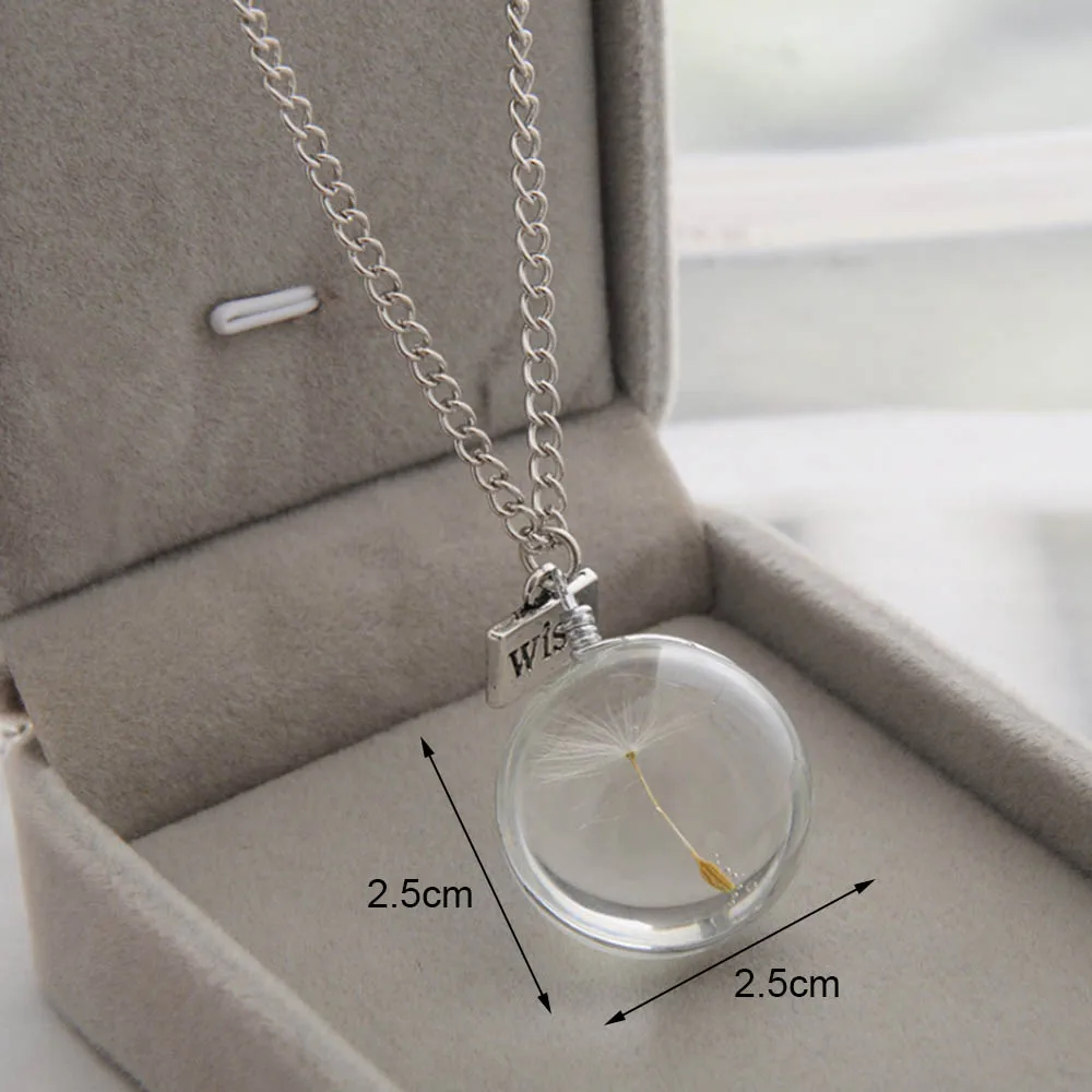 Natural Dandelion Seed Specimen Glass Adhesive Sheet and Wish Tag Pendant Necklace Charm Women Oval Round Time Gem Hot | Украшения и