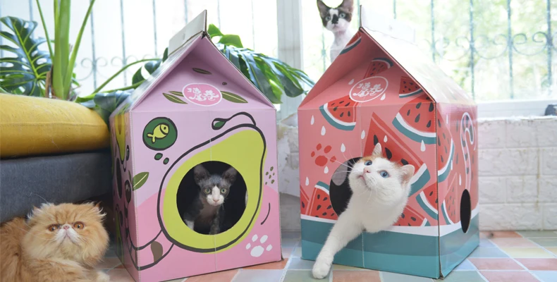 [MPK Store] японская кошачья скретч доска, кот котенок диван, кошка игрушка