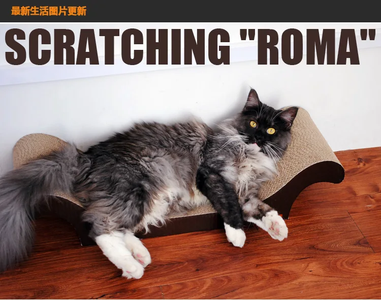 Кошка Королевский чиар кошка котенок гофрированная доска для царапин коврик