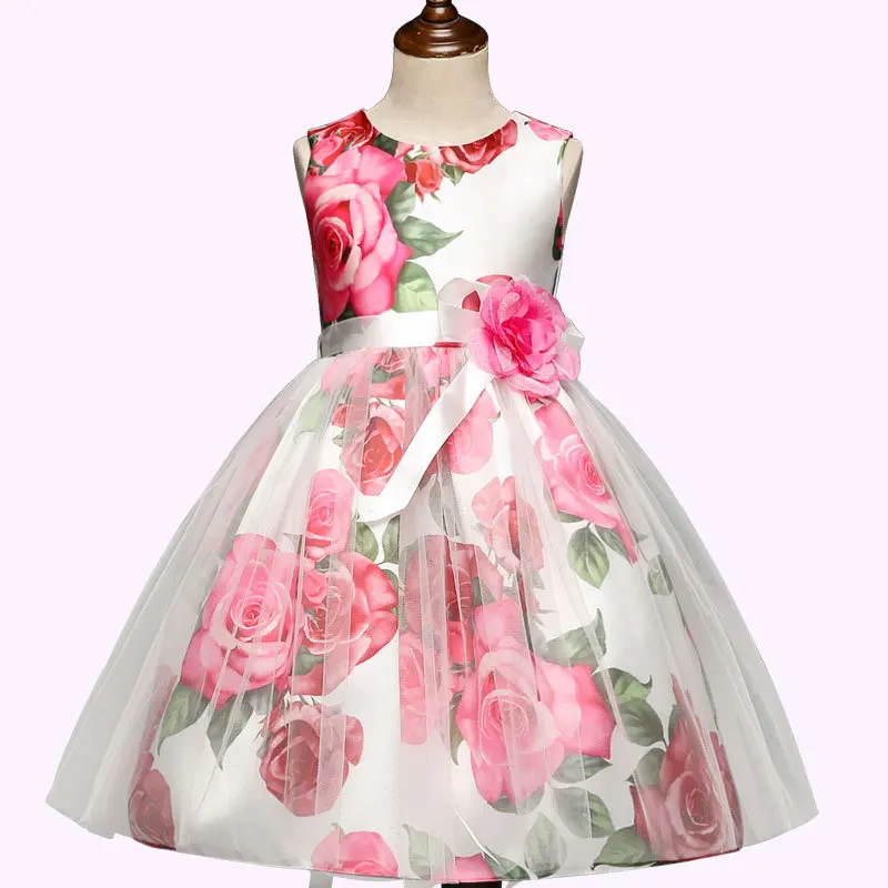 

Baby Girls Dress Pattern Print Dress Mesh Puff Princess Dress Age Show Children Dress Baby Girls Clothes