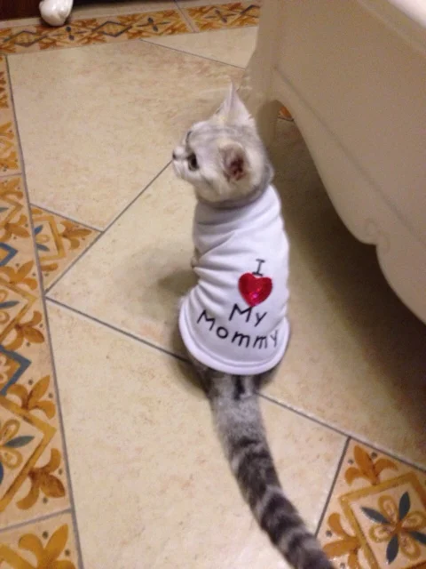 2014 новых супер-мило Pet кошка собака я люблю мама блестки небольшой жилет на лето sml