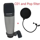 Конденсаторный микрофон SAMSON C01 и Pop-фильтр, микрофон для записи вокала, акустических инструментов и для использования в качестве и верхнего барабанного микрофона