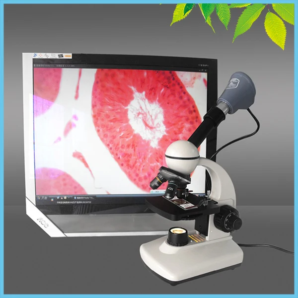 Производство Китай оптовая продажа Φ|compound microscope|monocular compound microscopemicroscope microscope |