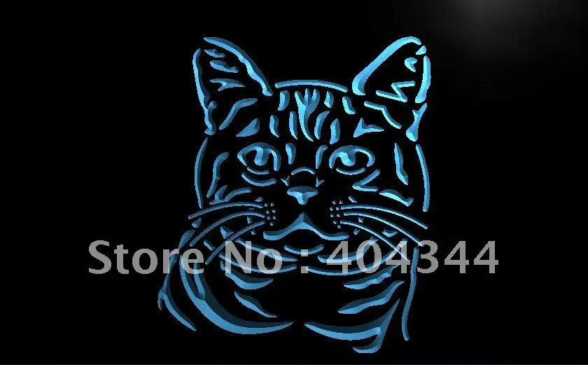 

LB993- American Shorthair Cat Kitty Pet Light Sign home decor crafts