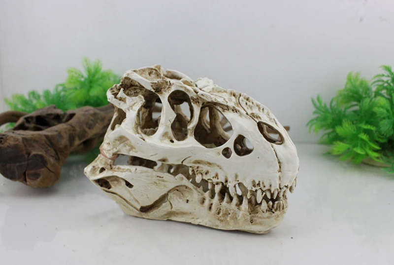 Аквариумный аквариум ormanent crawler box украшение из смолы tyrannosaurus rex skull 16*9*12 см | Дом и