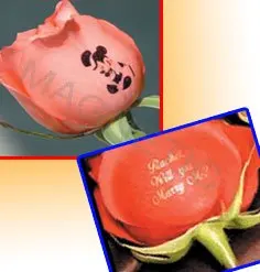 DIY fresh flower printer with CE | Красота и здоровье