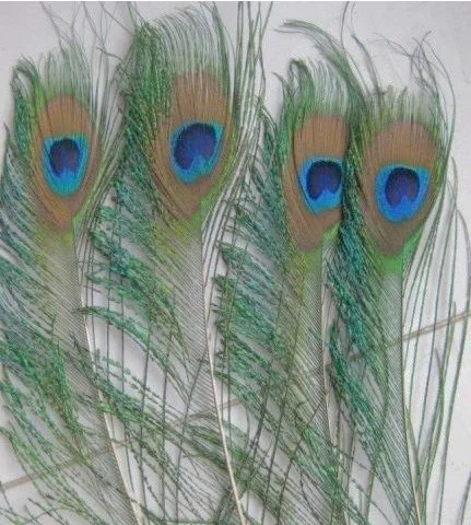 

Freeshipping! 50Pcs/Lot 25-35cm PEACOCK SWORD FEATHERS WITH EYES BeautifulHome Decor