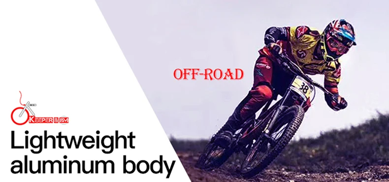 New powerful 26 inch electric mountain bike / electric bicycle / electric motorcycle bicycle / double battery