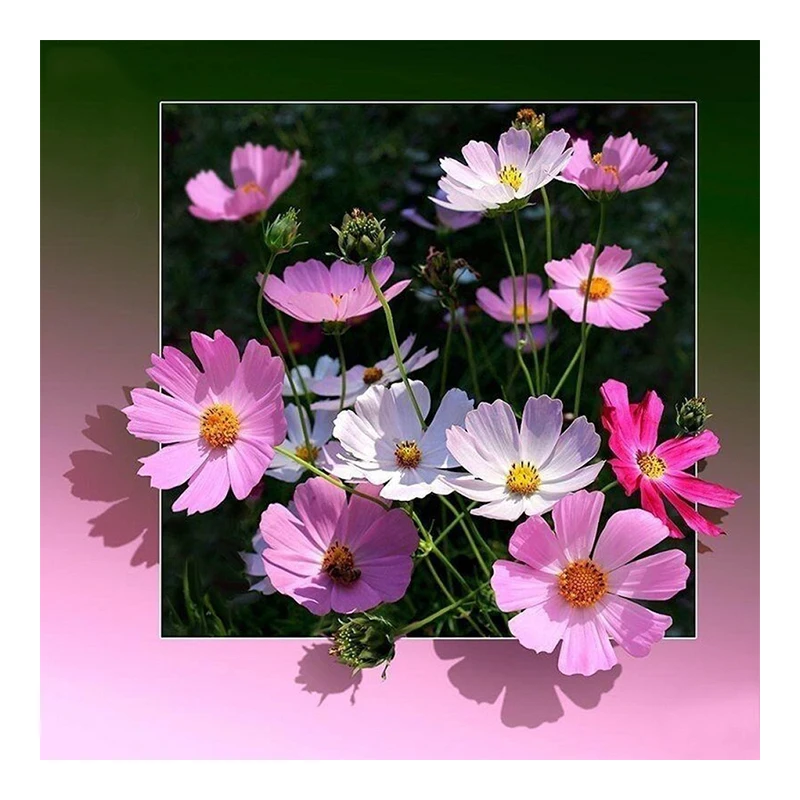 

Diamond Mosaic pink Flower DIY Full diamond Drill Picture Of Rhinestone Diy Embroidery Diamond Painting Flowers