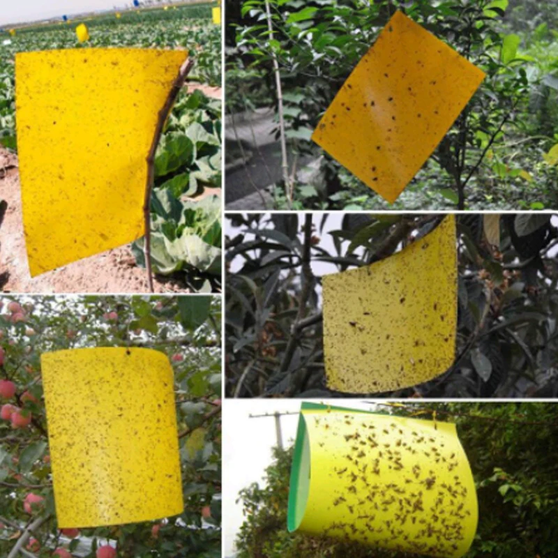 Желтая доска для борьбы с вредителями ловля тфид насекомых Убийца белый муха Thrip