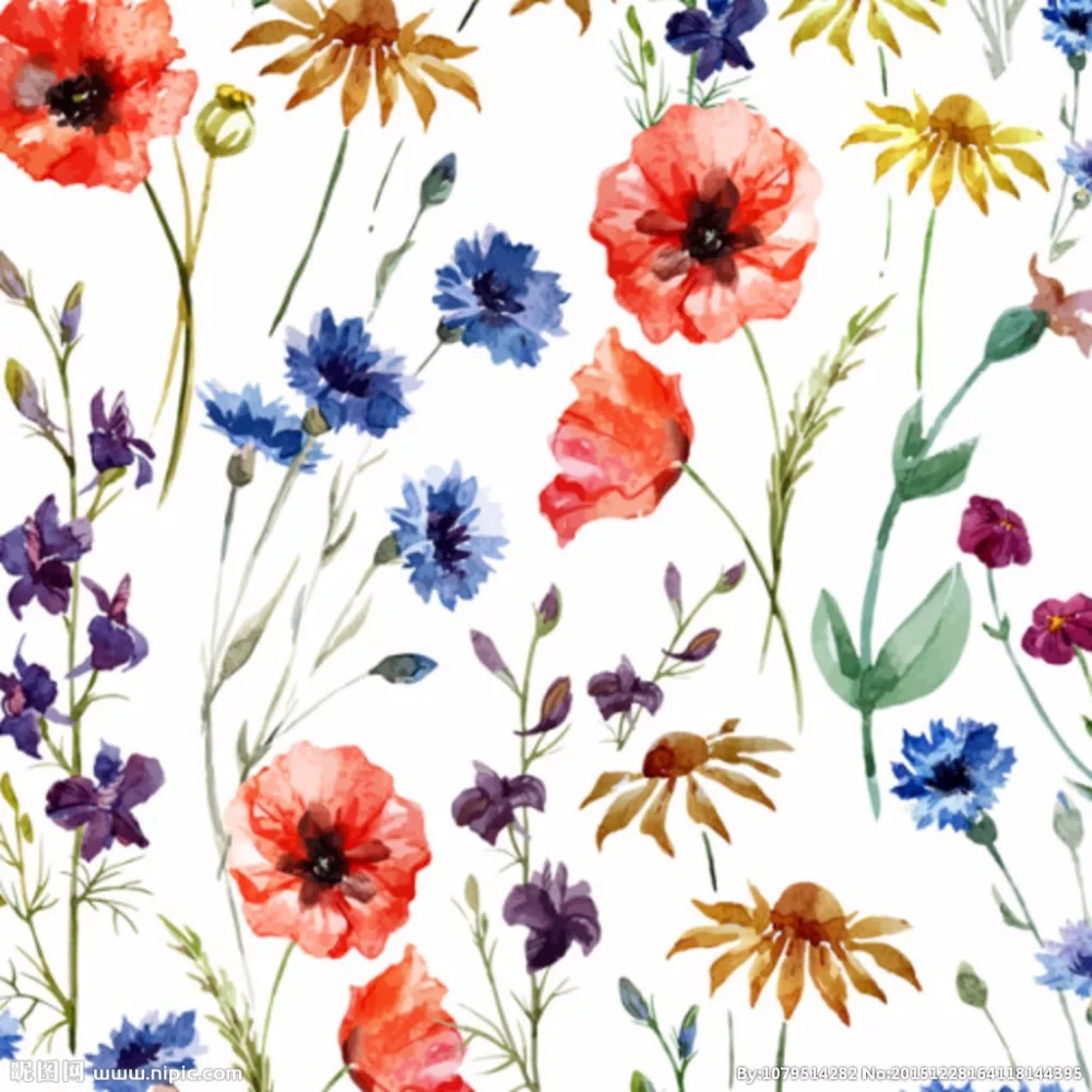 Joy Magic Zone бесплатный подарок |