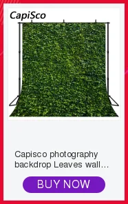 Capisco розовые цветочные феи бабочки вечерние фотографии фон Девушка первый день рождения фон Страна Чудес ребенок душ Фотостудия