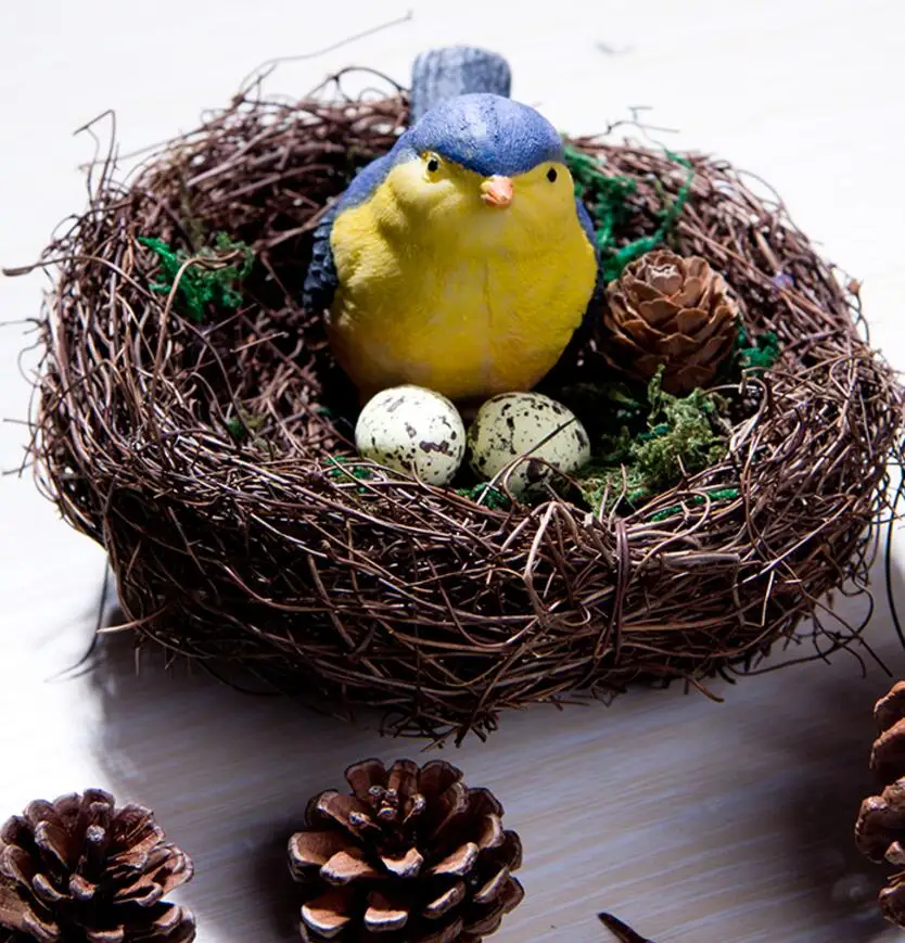 Один набор сушеных растений цветов фруктов птичье гнездо яйцо для свадьбы